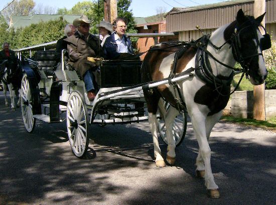 Madison County High School Centennial Parade April 12 2008