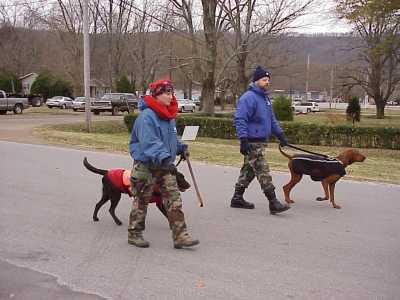 Gurley Parade HEMSI Dogs